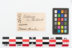 Etikett zu Glasringperle (NHMW-PRAE-026862)